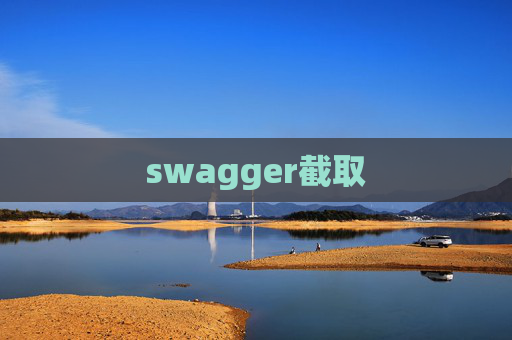 swagger截取